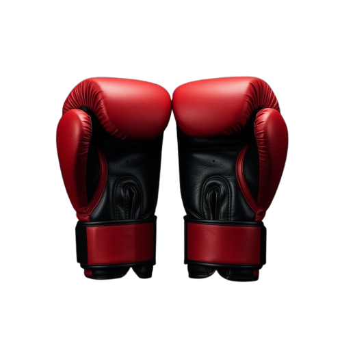 category-boxing-gloves-removebg-preview